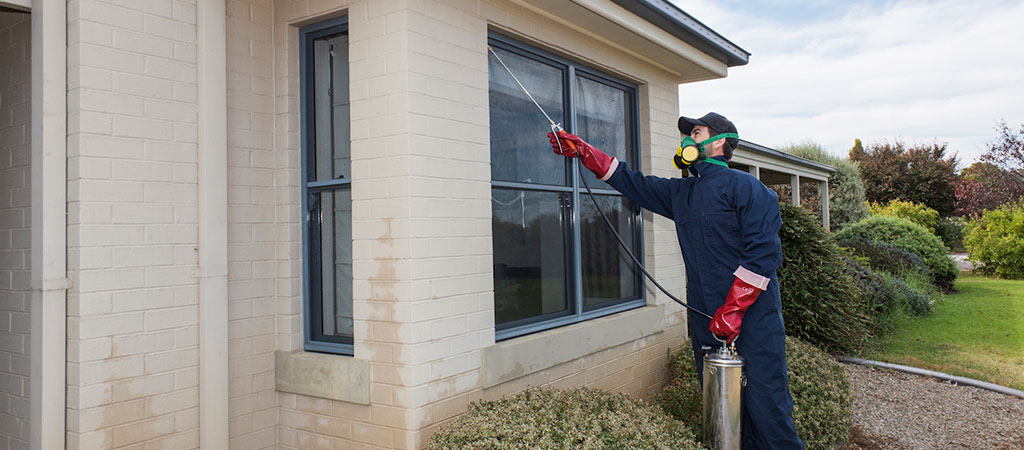 How we can help - Pest & Building Inspections Mudgee